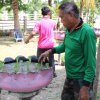 โครงการ ปฏิบัติการ 90 วัน ปลูกผักสวนครัวสร้างความมั่นคงทางอาหาร